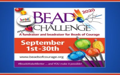 ISGB Sept 2020 BOC Challenge