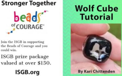 ISGB Creativity Challenge – Wolf Cube Tutorial