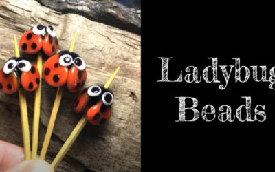 Ladybug Tutorial