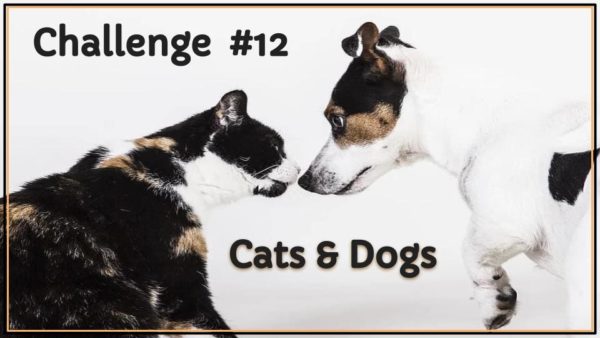 Challenge #12 Dogs & Cats