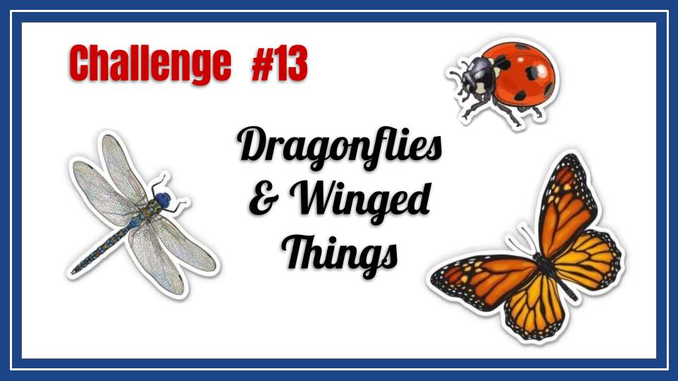 Challenge 13- Dragonflies & Other Winged Things