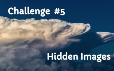 Challenge #5 Hidden Images Challenge