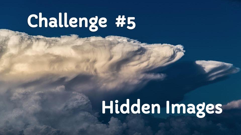 Challenge #5 Hidden Images Challenge