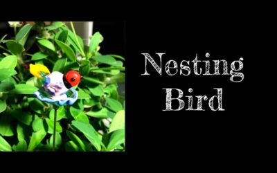 Nesting Bird