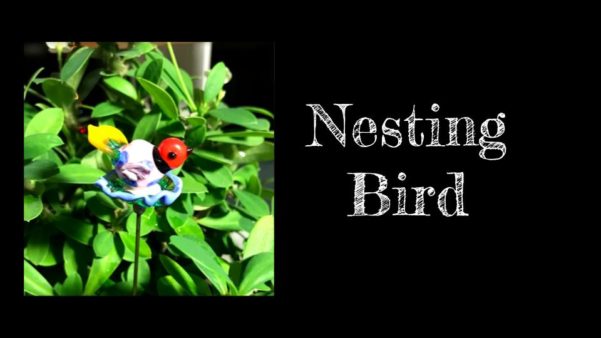 Nesting Bird