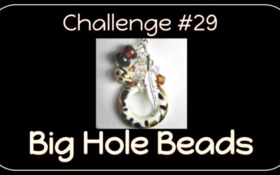 Challenge #29 Big Hole Beads