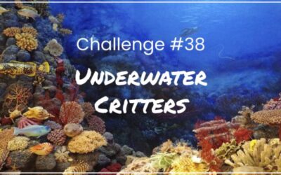 Challenge #38 Underwater Critters