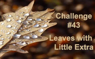 Challenge #43 – Leaves with a Little Extra