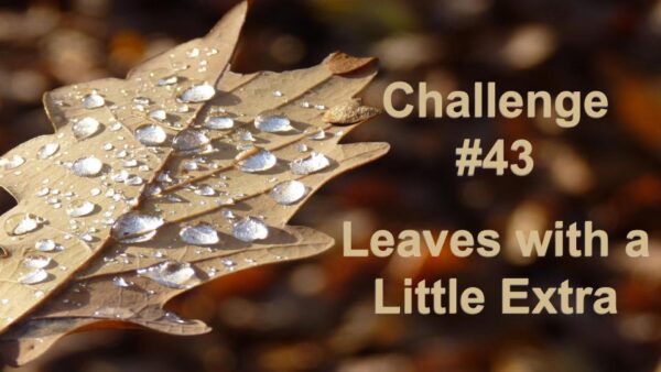 Challenge #43 – Leaves with a Little Extra